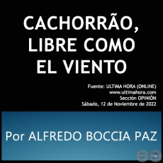 CACHORRO, LIBRE COMO EL VIENTO - Por ALFREDO BOCCIA PAZ - Sbado, 12 de Noviembre de 2022
